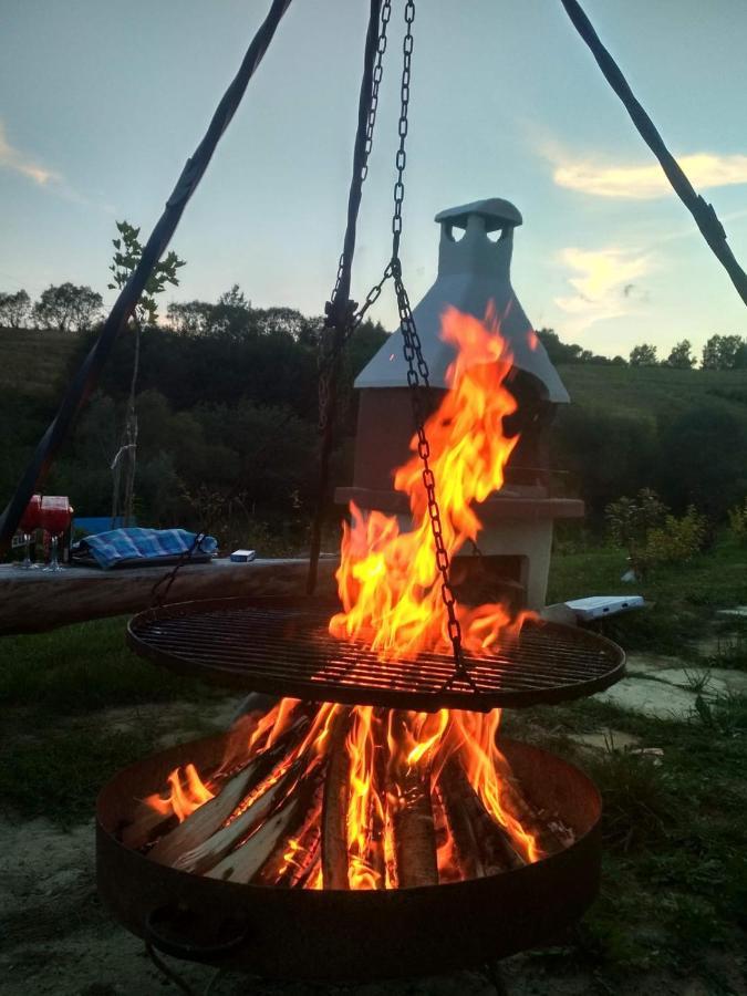 Domki W Bieszczadzkiej Dolinie Устшики-Дольне Экстерьер фото